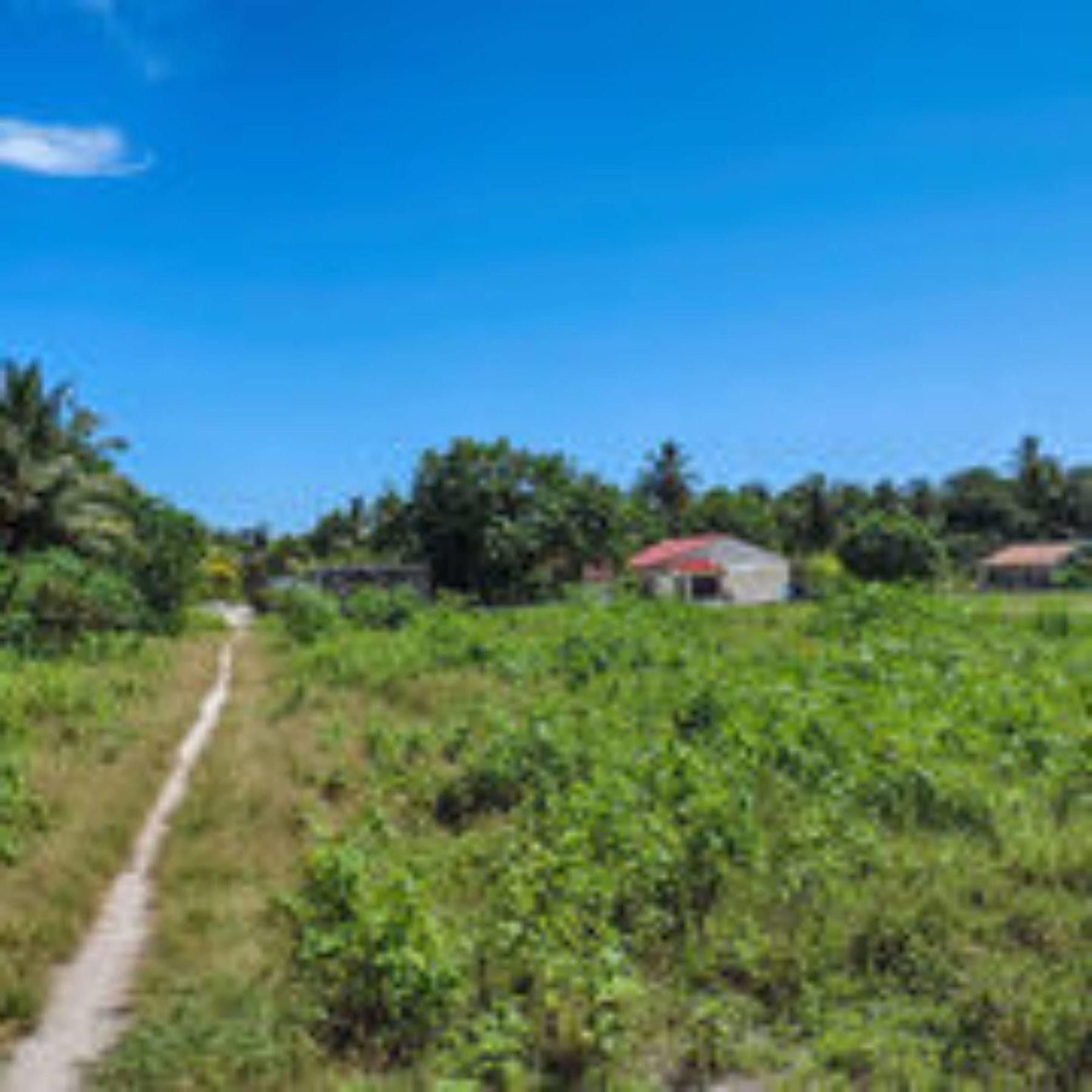 Feridhoo Inn ภายนอก รูปภาพ