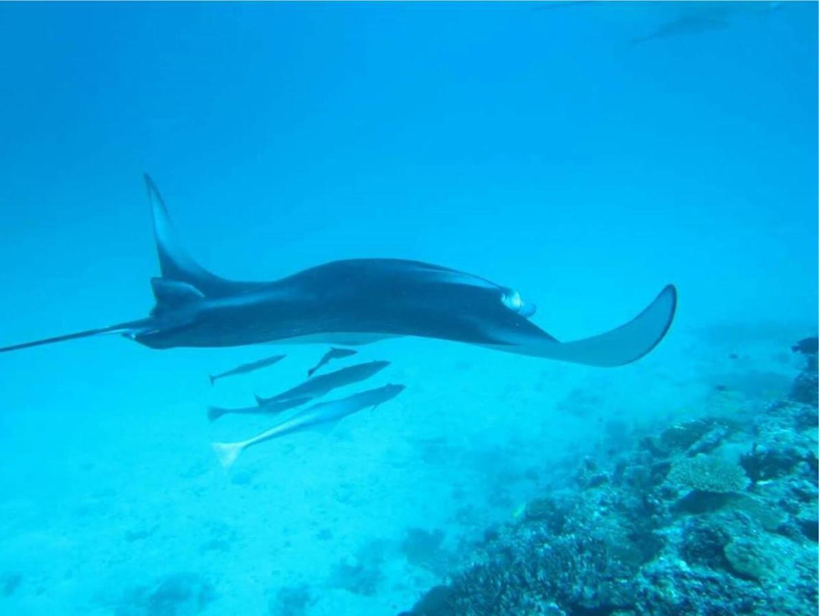 Feridhoo Inn ภายนอก รูปภาพ