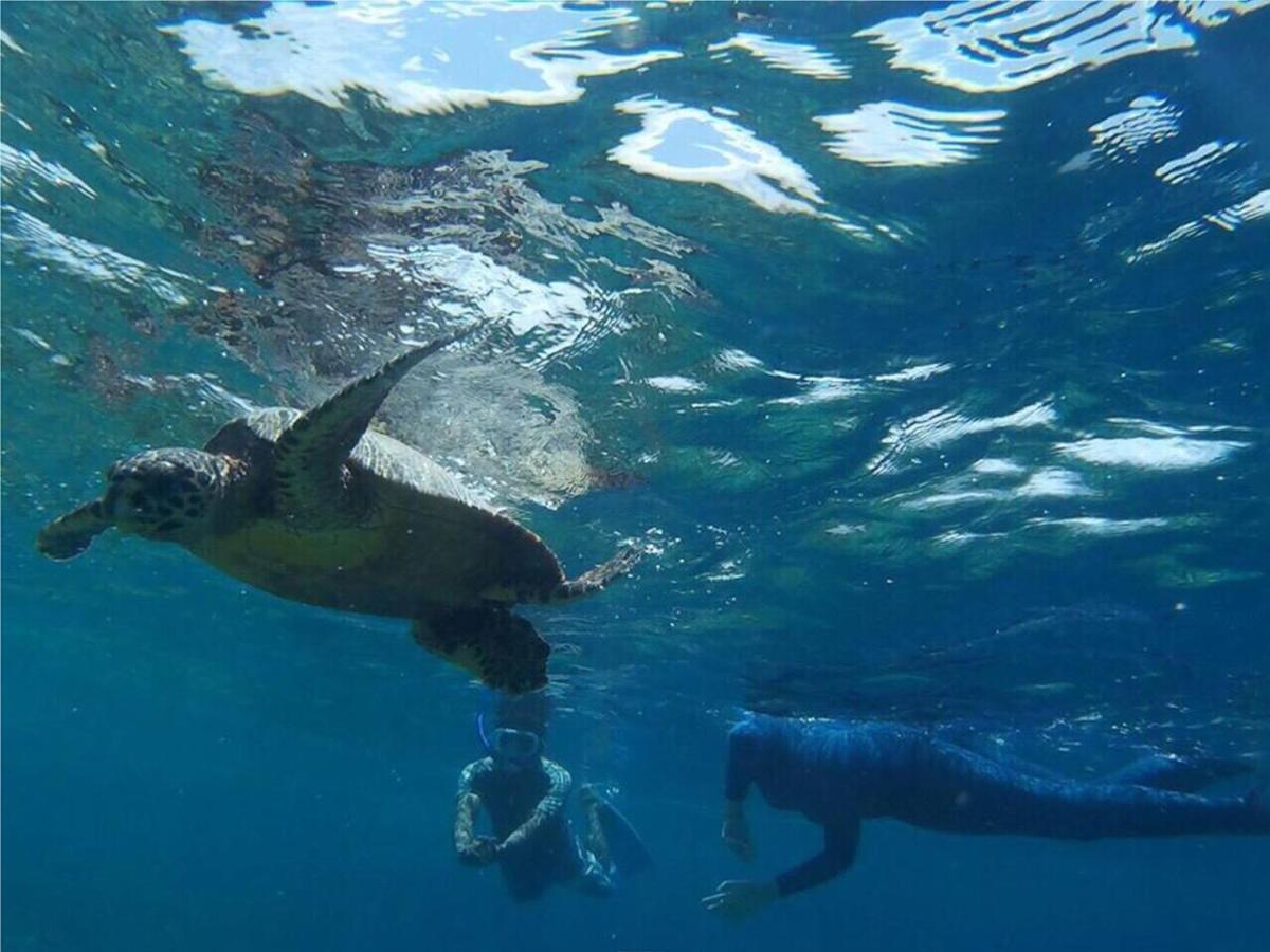 Feridhoo Inn ภายนอก รูปภาพ